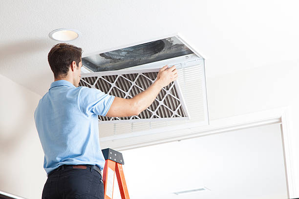 Best HVAC service technicians  in Hollis, OK